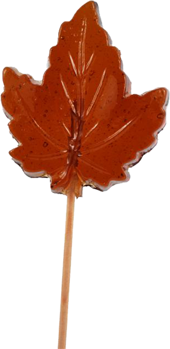 Maple Leaf Lollipop - Lollipop (1280x1280)