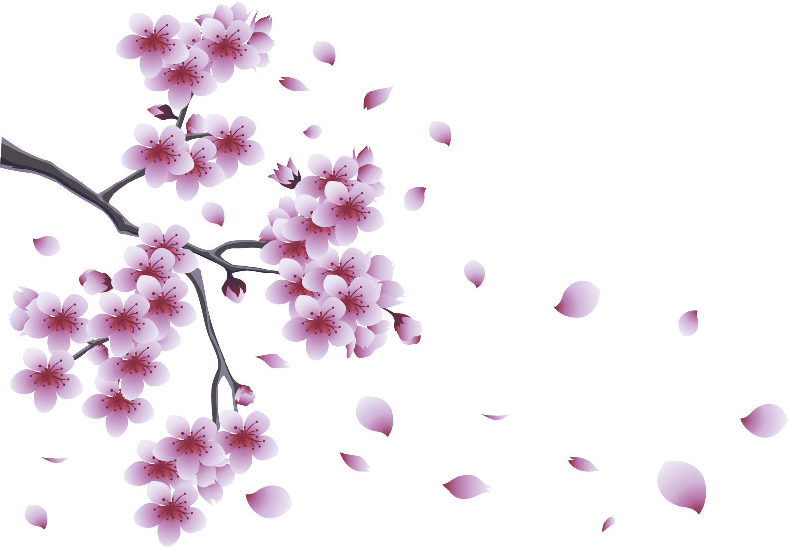 Spring Png Pic - Spring Png (1600x1148)