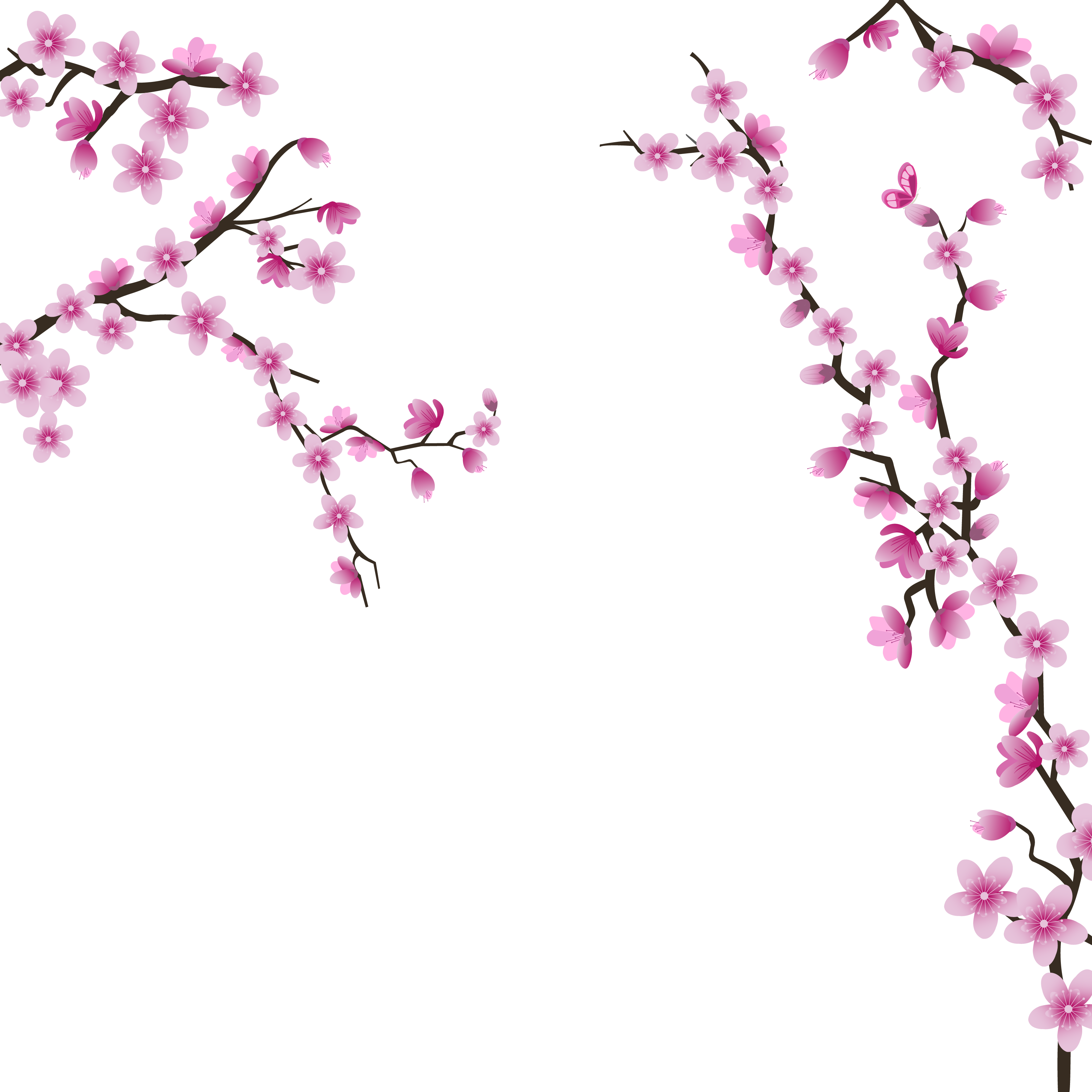 Cherry Blossom Wedding Invitation Flower - Cherry Blossom (3333x3333)