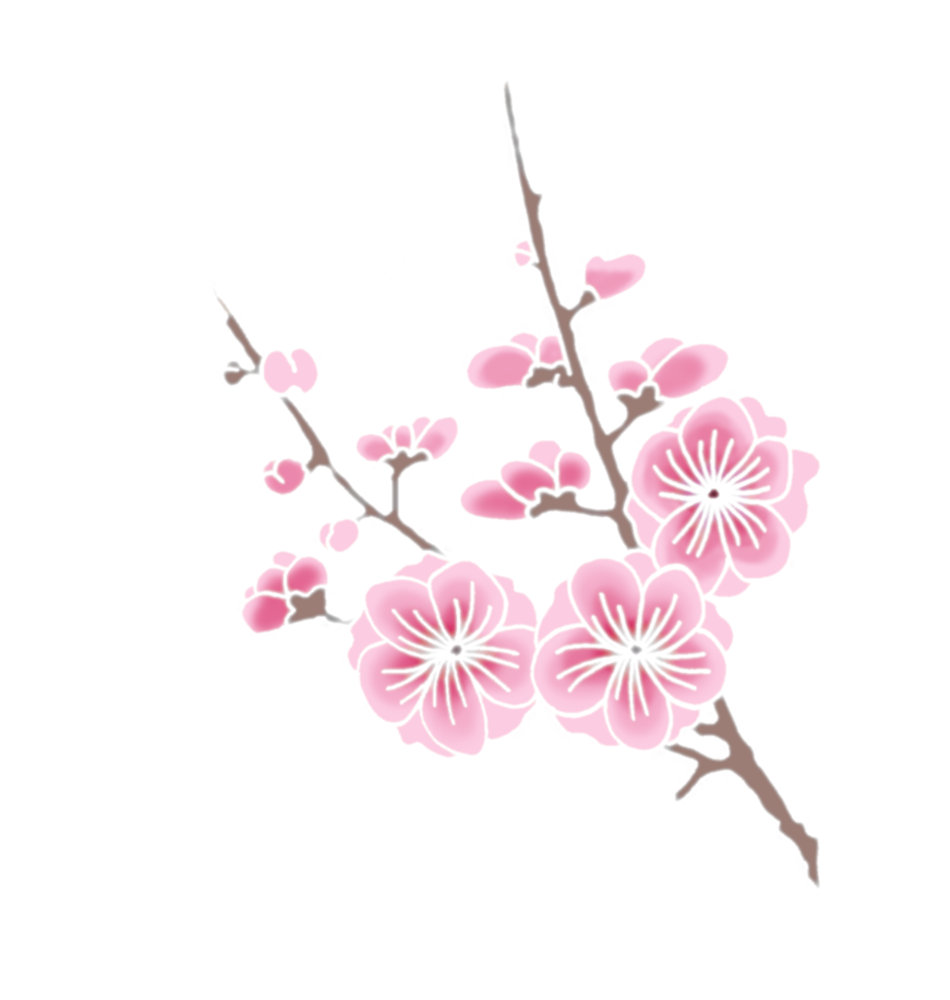 Cherry Blossom Clipart Transparent - Clip Art (871x917)