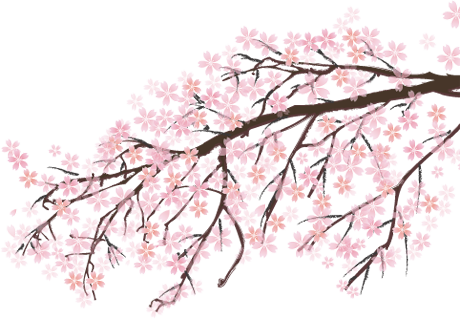 Sakura Png Images Free Download Japanese Cherry Blossom - Tree Anime Sakura Png (460x319)