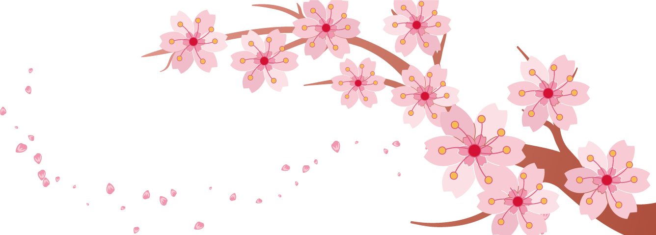 Cherry Blossom Banner - Cherry Blossom Clipart Transparent (1336x479)