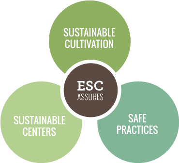 The Ethnobotanical Stewardship Council [in A Perfect - Circle (435x360)