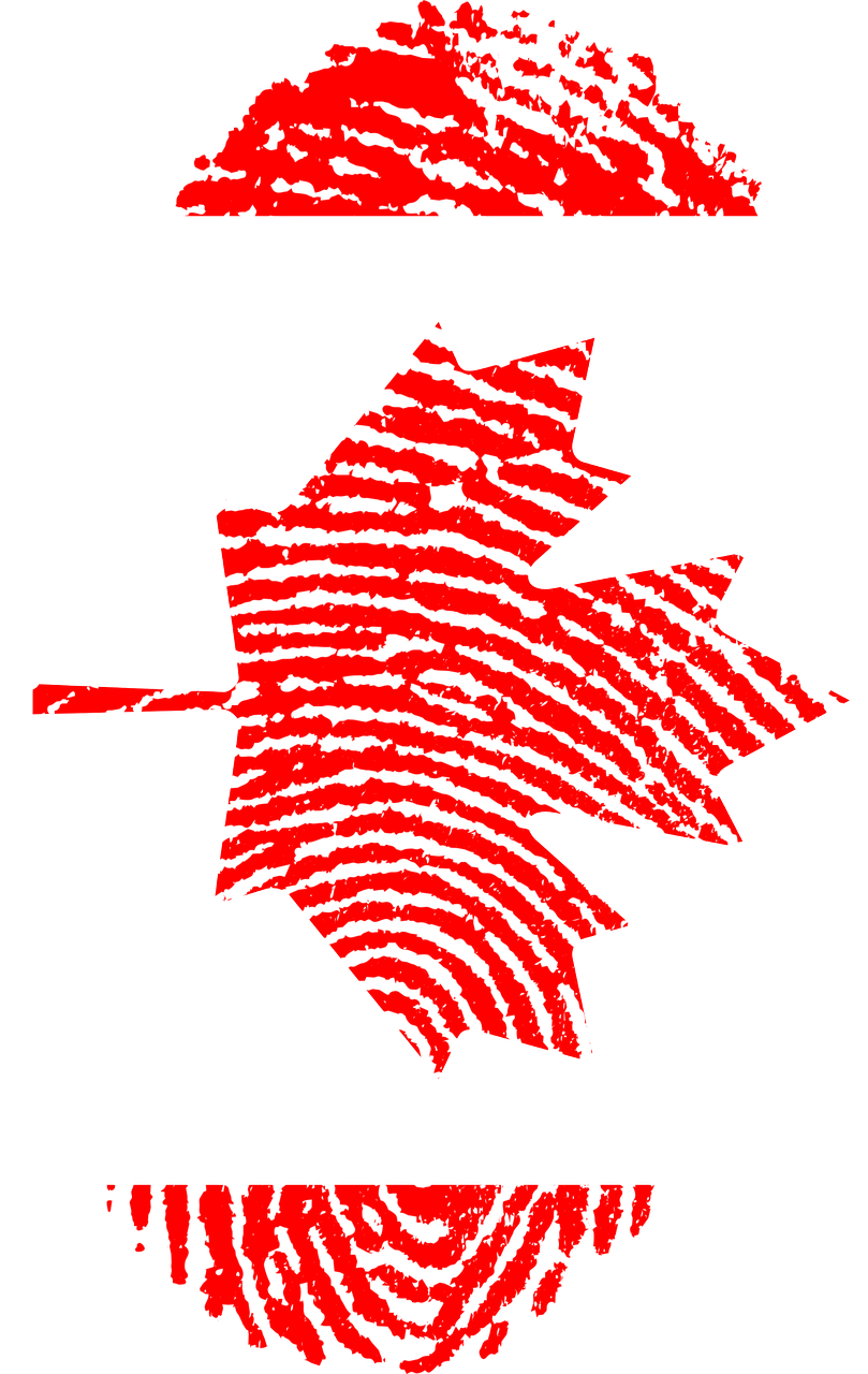 Canadian Flag Transparent Ong (809x1280)