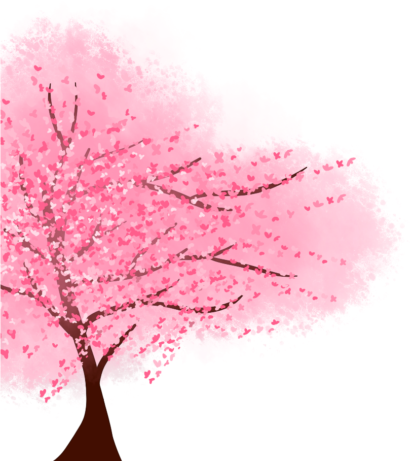 Anime Cherry Blossom Tree For Kids - Maple (1040x1040)