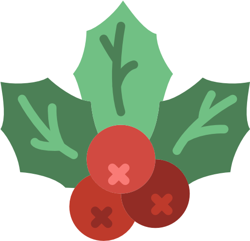 Computer Icons Christmas Winter Clip Art - Mistletoe (512x512)