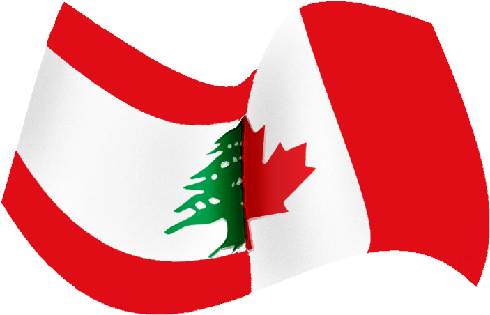 Lebanese Flag Png - Canadian Lebanese (740x511)