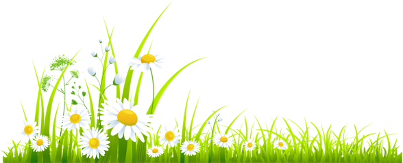 May April Flowers April Spring Clip Art - Spring Grass Clipart (600x240)