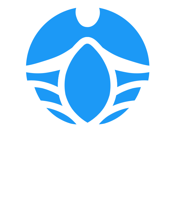 Quotes For Personal Growth, Personal Growth App, Personal - Deming Cycle (576x673)