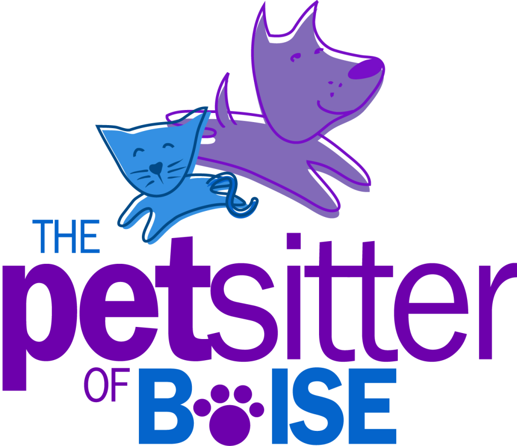 The Pet Sitter Of Boise - Hard Day's Night Cd (1024x884)