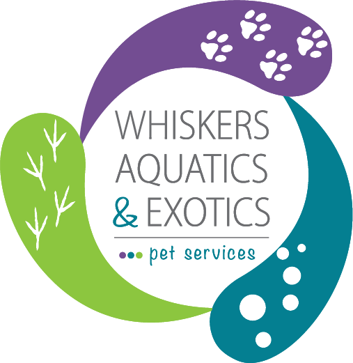 Having Trouble Finding A Pet Sitter - Having Trouble Finding A Pet Sitter (507x521)