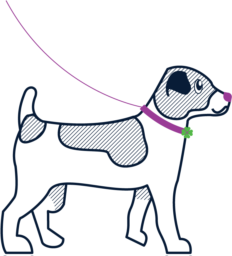 Clover Jackrussel - Ancient Dog Breeds (800x873)
