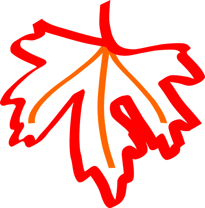 Maple Leaf Clipart Orange - Maple Leaf Outline (707x720)