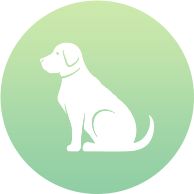 Dog Services - Study Skills (400x400)