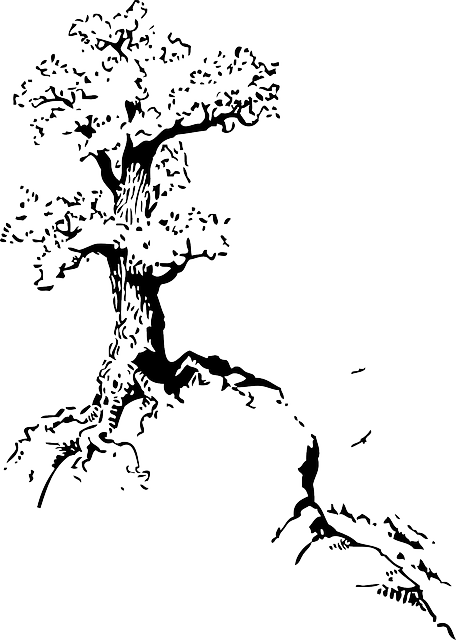 Top, Outline, Silhouette, Tree, Roots, White - Quotes About Trees Drawing (456x640)