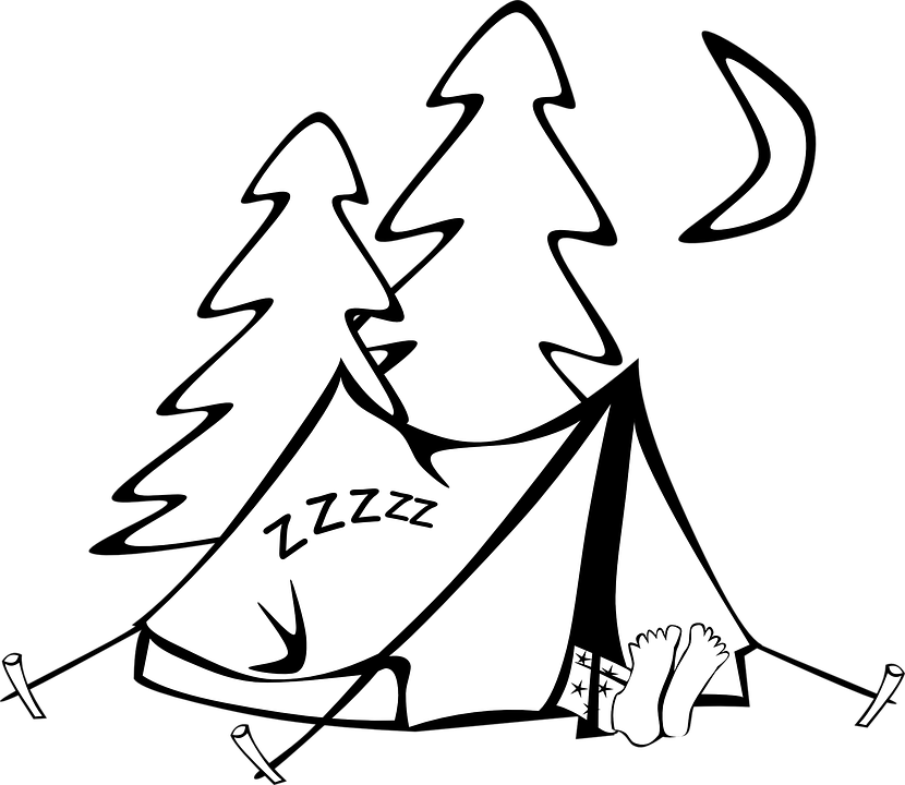 Tree Drawing Outline 19, - Camping Clipart Black And White (830x720)