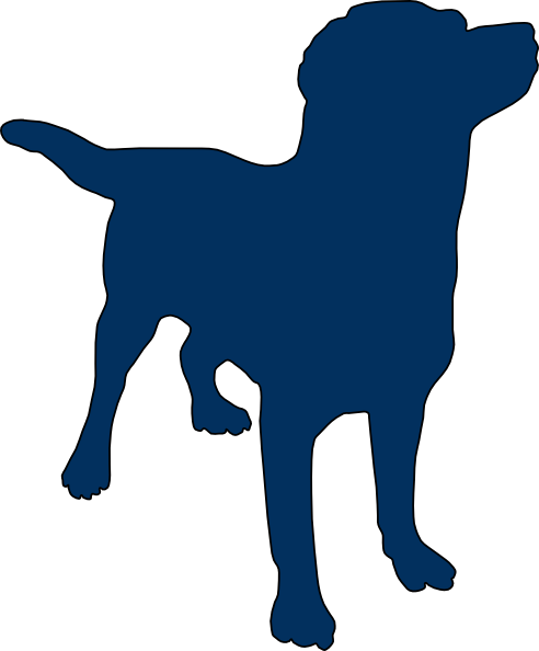 Labrador Retriever Shower Curtain (492x594)