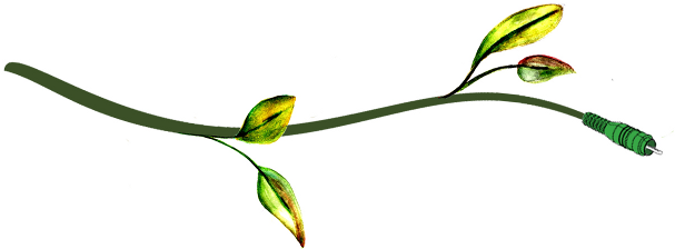 Resultado De Imagen Para Png Cables - Ramas De Plantas Png (617x230)