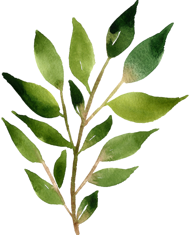 Acuarela Pintada A Mano Material Transparente Para - 北欧 素材 (650x807)