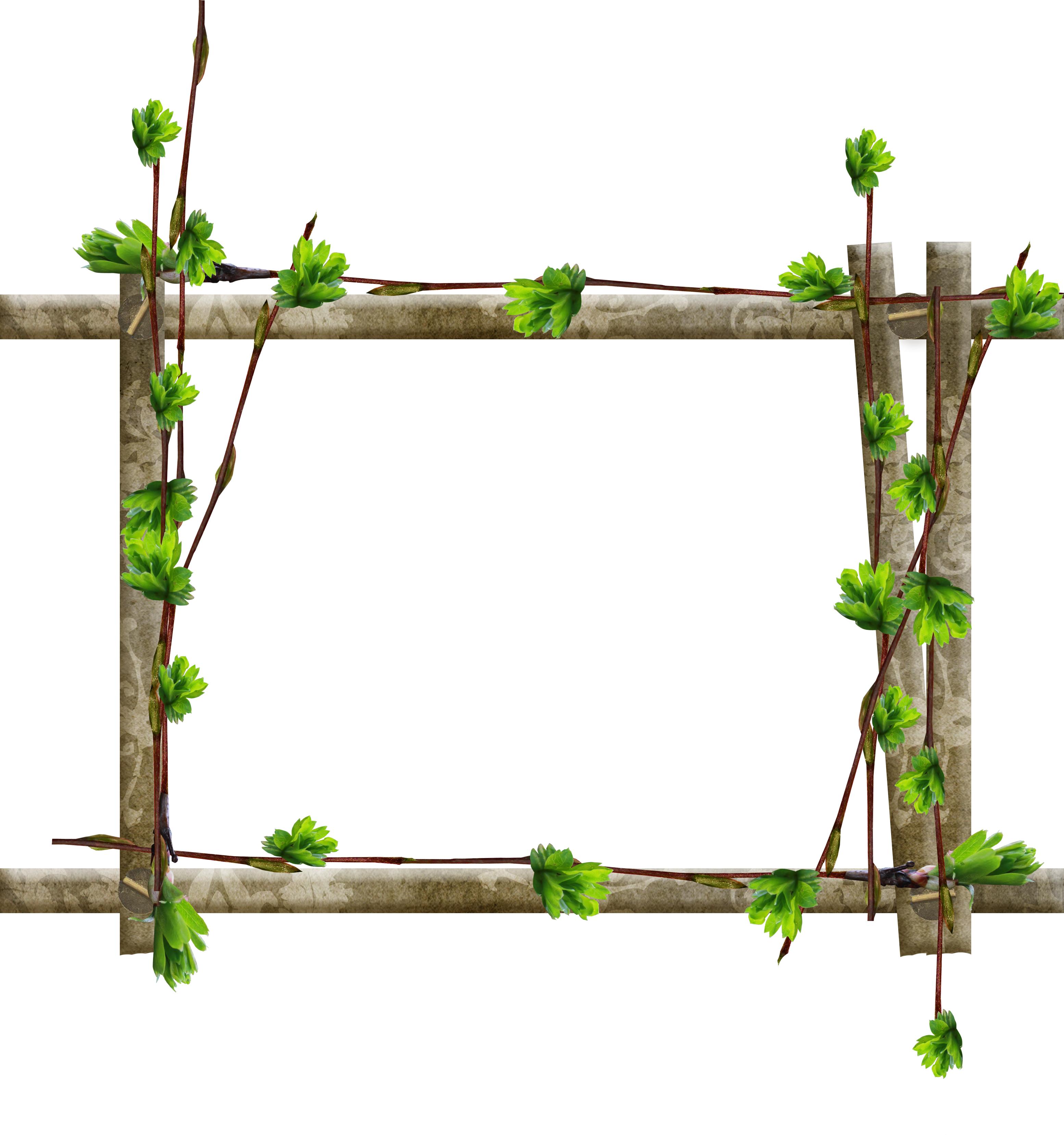 Marcos De Fotos De Árboles De Madera De La Ventana - Рамки Деревянные Пнг (3108x3315)