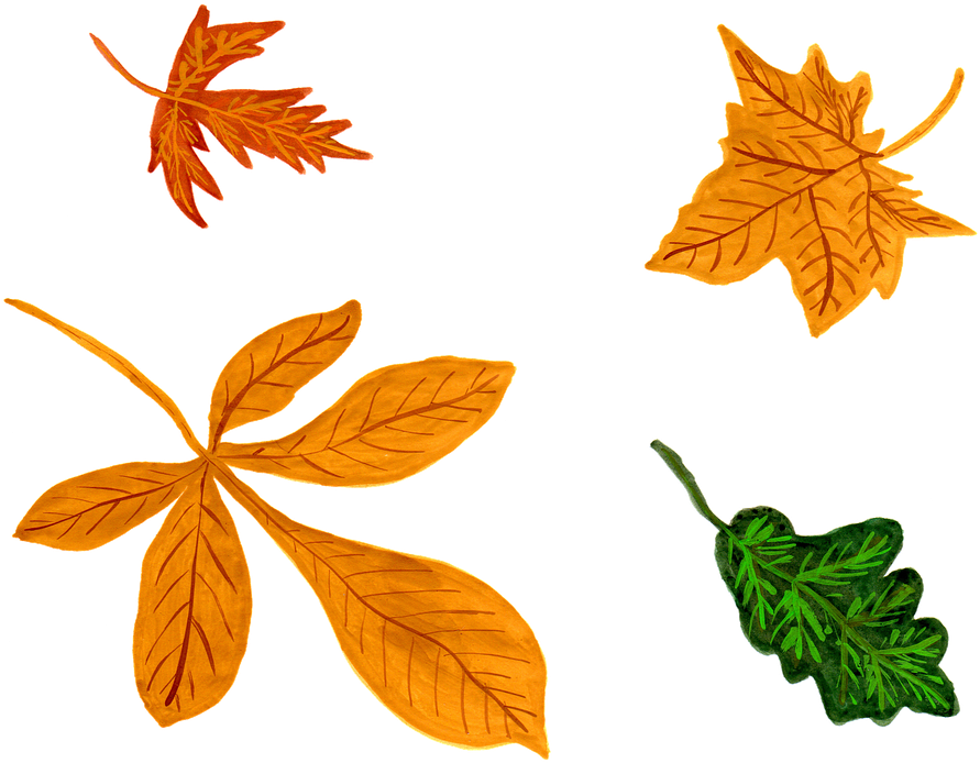 Border Leaves Cliparts 19, - Watercolor Painting (958x720)