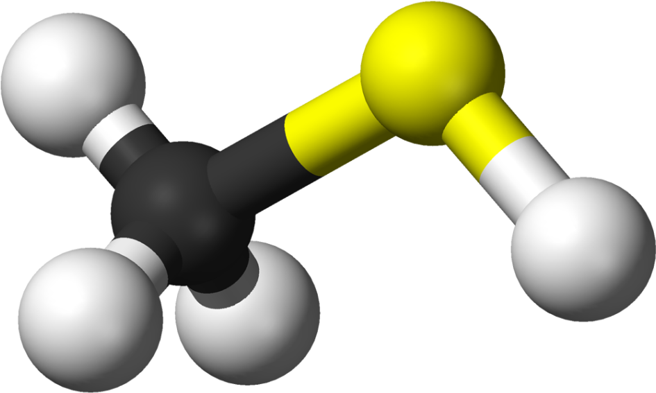 Methanethiol Molecule Model - Mercaptan (1038x576)