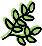 Glyph Thyme 2 Web - Thyme (659x250)