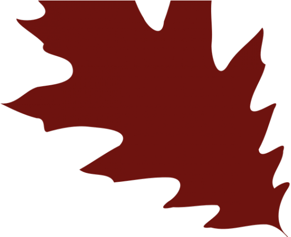 Foliage Clipart Red Oak Tree - Cricut Cartridge Fall Leaves (640x480)