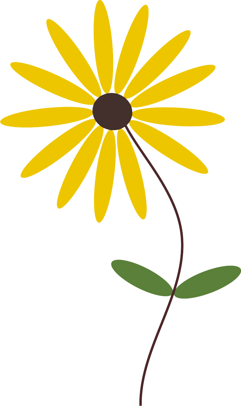 Get Nan's Newsletters - Music For Dreams (797x1341)