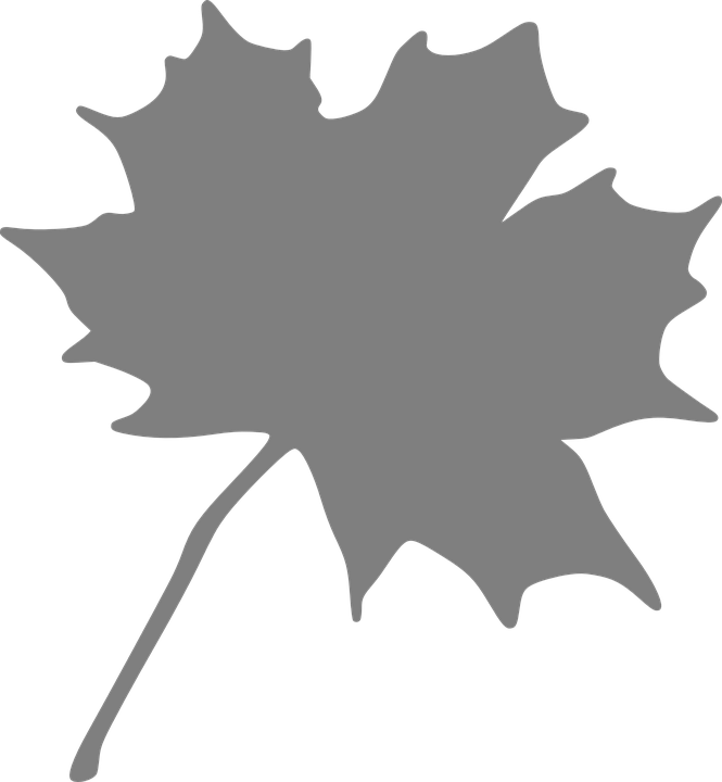 Maple Leaf Silhouette 11, - Maple Leaf Clip Art (665x720)