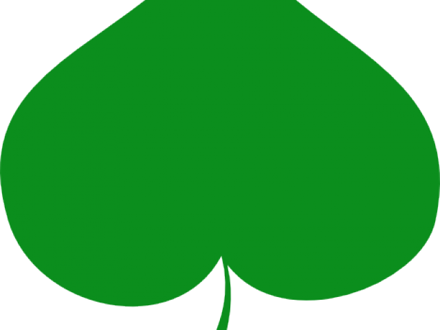 Foliage Clipart Paan - Foliage Clipart Paan (640x480)