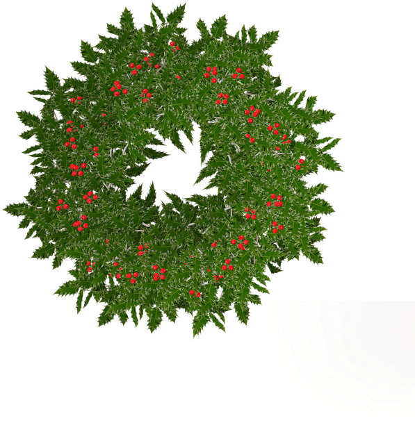 Evergreen Garland Cliparts - Wreath (720x720)
