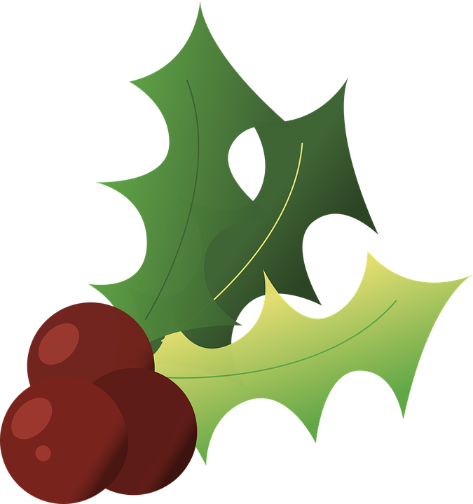 Fiesta Garland Cliparts 16, Buy Clip Art - Acebo Navidad Fondo Blanco Gratis (675x720)