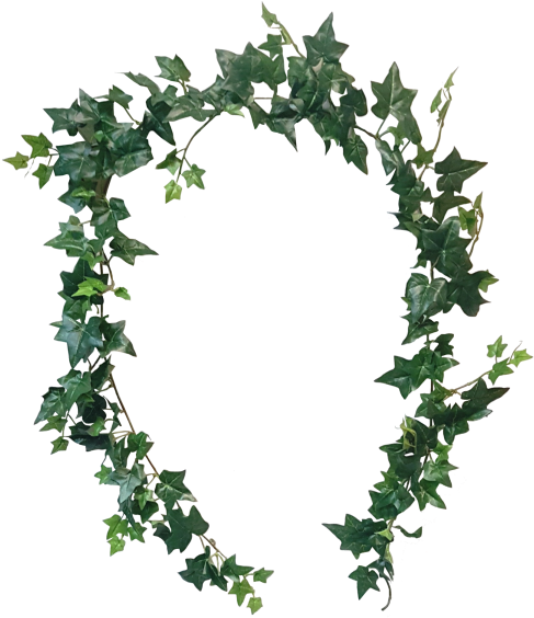 6ft Sage Ivy Garland 171 Leaves - Leaf Garland Png (800x600)
