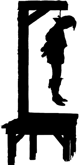 Man, Silhouette, Law, Person, Cartoon, Hung - Unforgivable Miscarriages Of Justice (320x640)