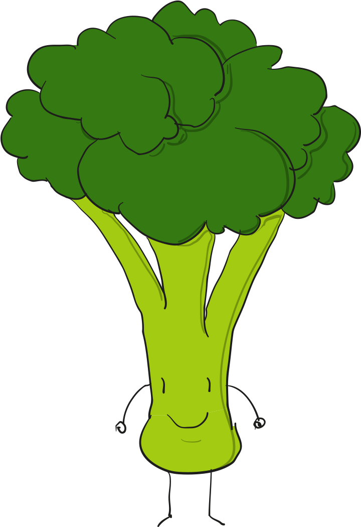 Broccoli Euclidean Vector - Broccoli Euclidean Vector (1600x1600)