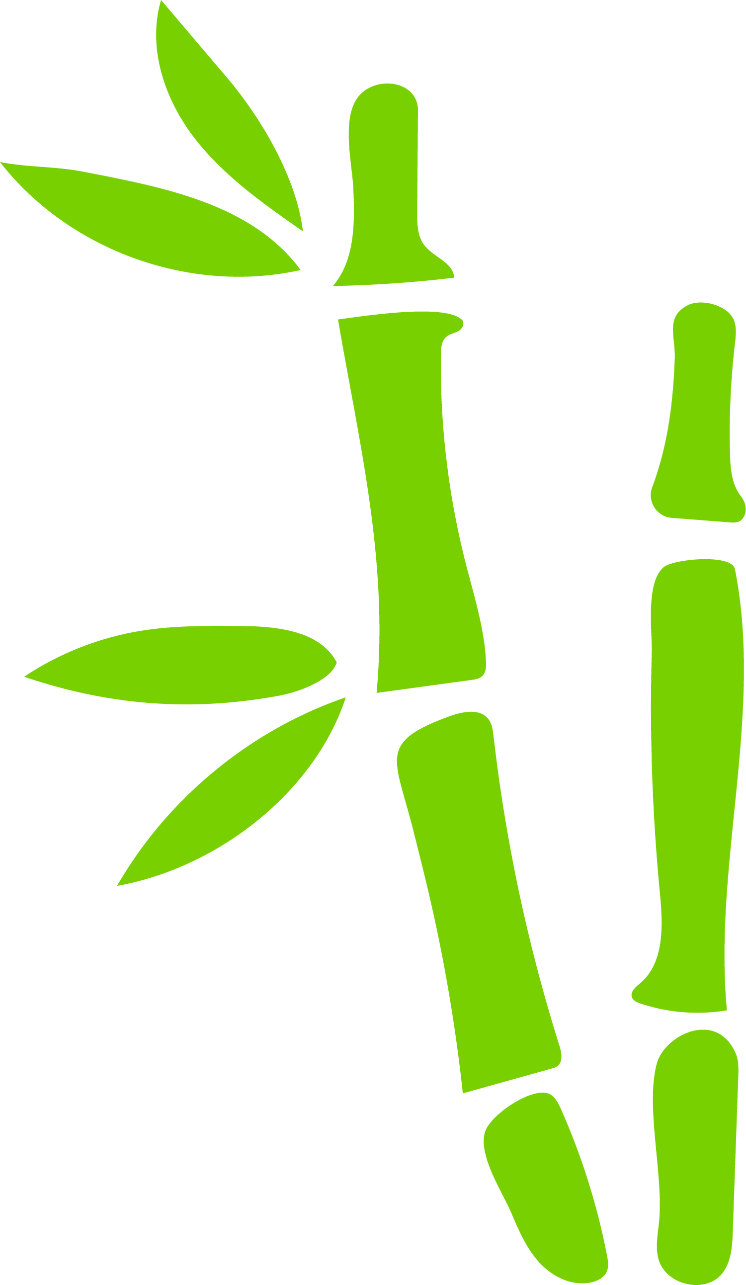 Bamboo Bamboe Green Euclidean Vector - Green (1501x2585)