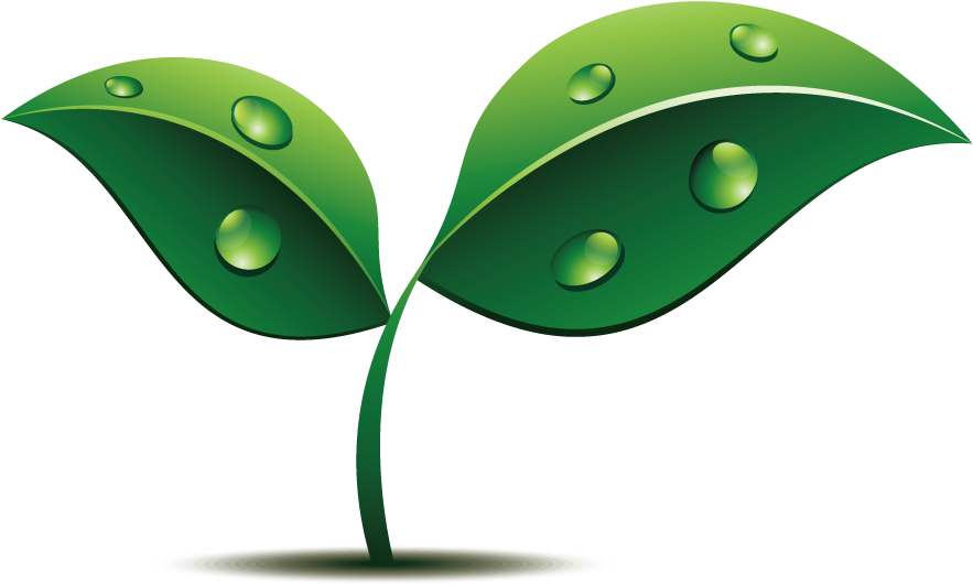 Shoot Euclidean Vector - Euclidean Vector (900x900)