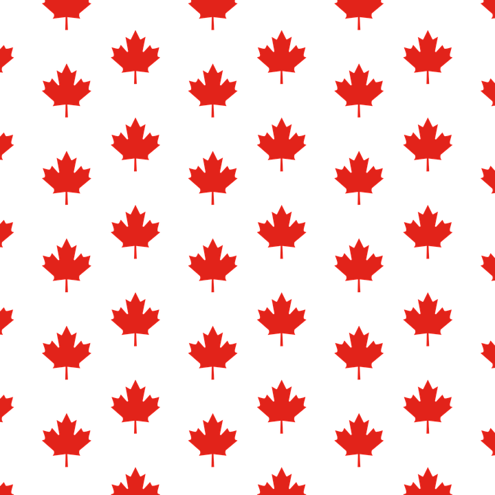 Maple Leaf Canada White 29, Buy Clip Art - Maple Leaf Canada Clipart (720x720)
