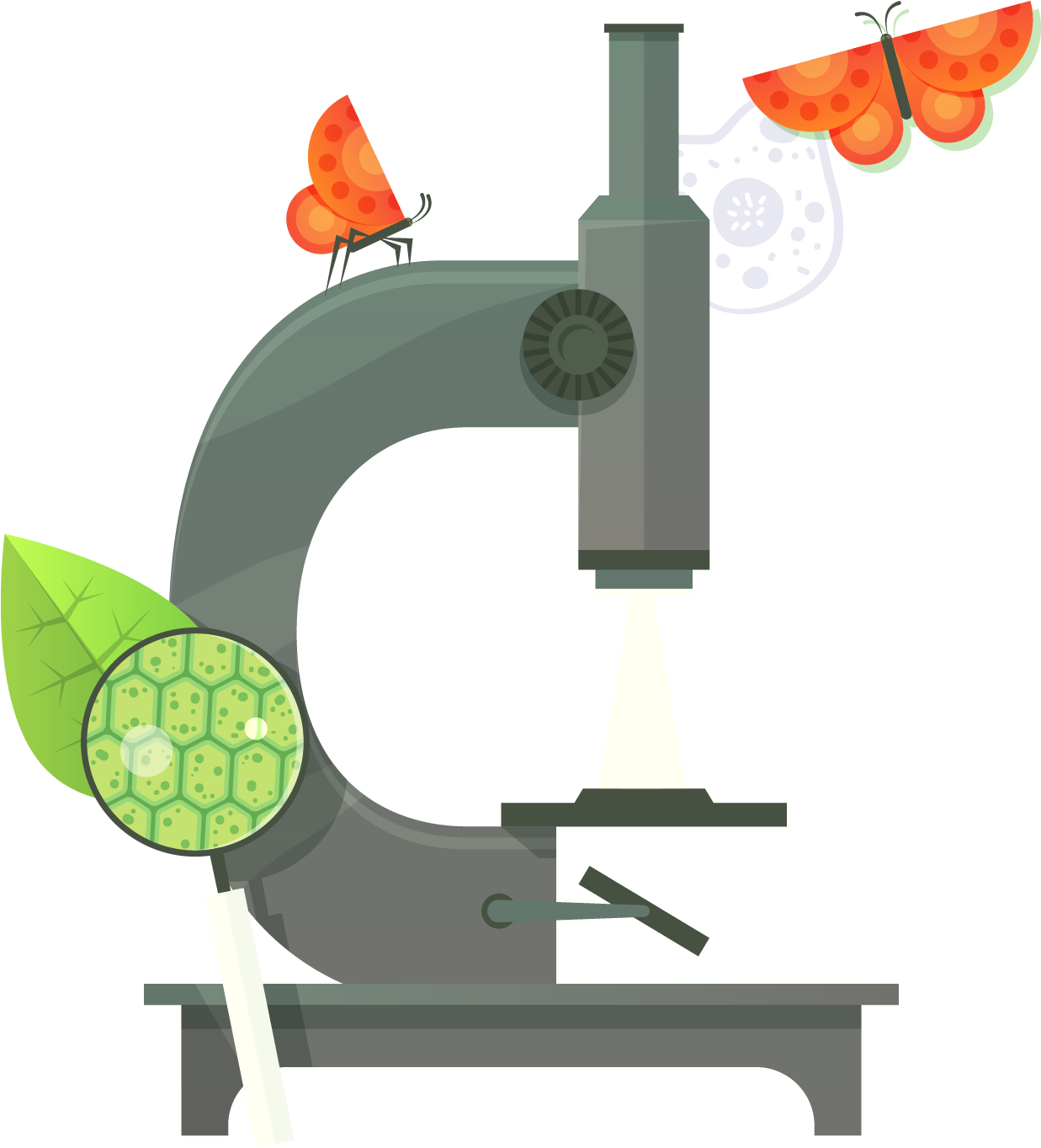 Euclidean Vector Flat Design Chemistry Icon - Euclidean Vector Flat Design Chemistry Icon (1963x1738)
