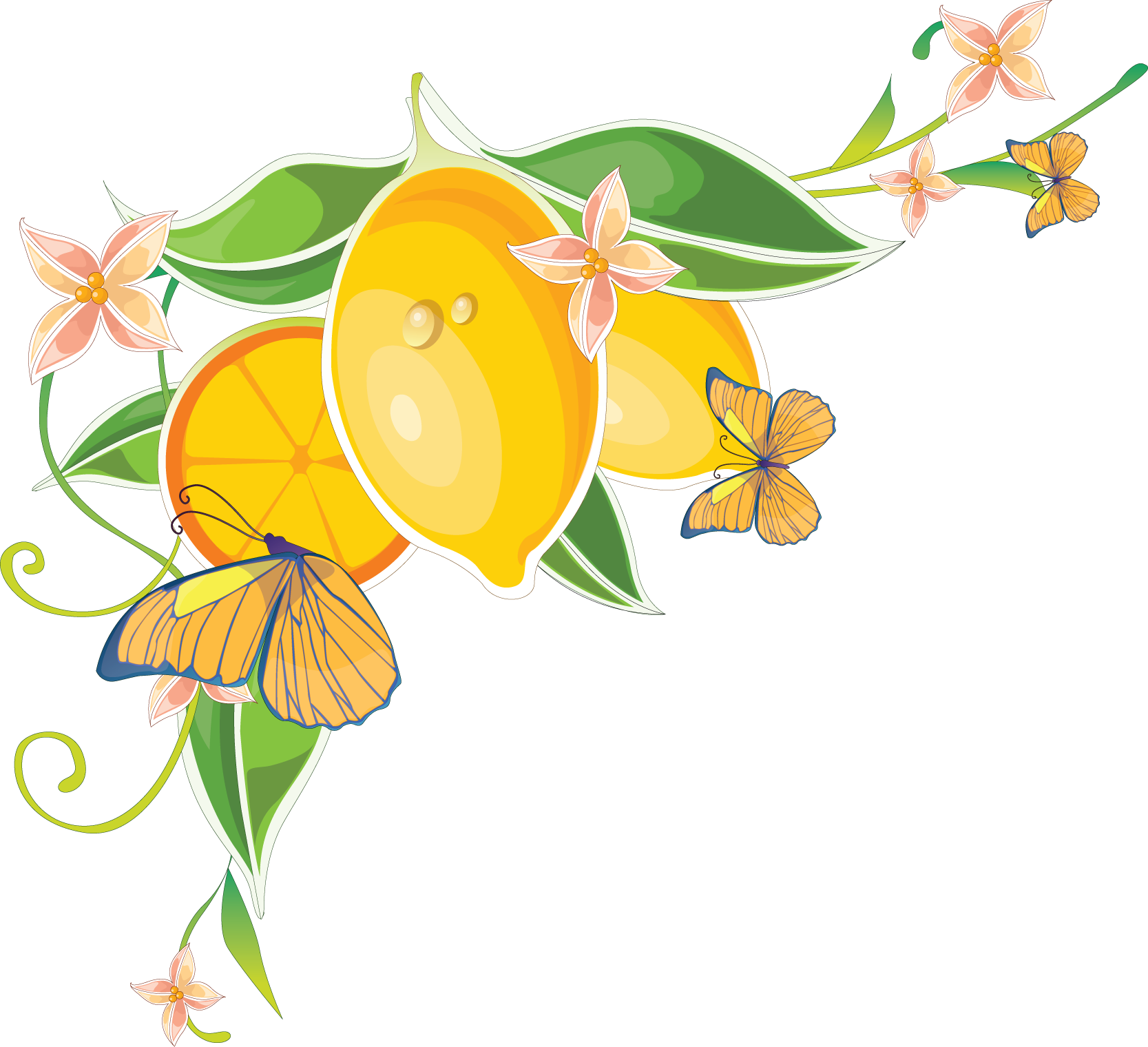 Png水果花朵蝴蝶花边 p 图片素材交流 思缘论坛平面 Flower Wall Mural Bright Yellow 1667x15 Png Clipart Download