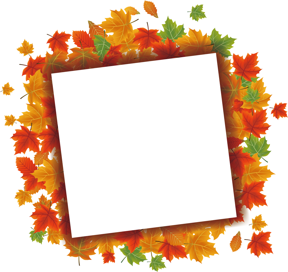 Maple Leaf Euclidean Vector Autumn - Maple Leaf Euclidean Vector Autumn (1500x1500)