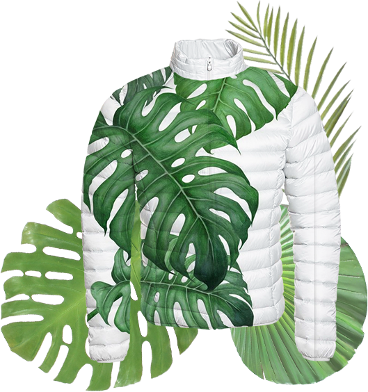 Jott - Monstera Deliciosa Drawing (529x564)