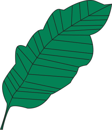 Enjoy A Drink And Relaxation On Our Sunny Terrace With - Enjoy A Drink And Relaxation On Our Sunny Terrace With (358x415)