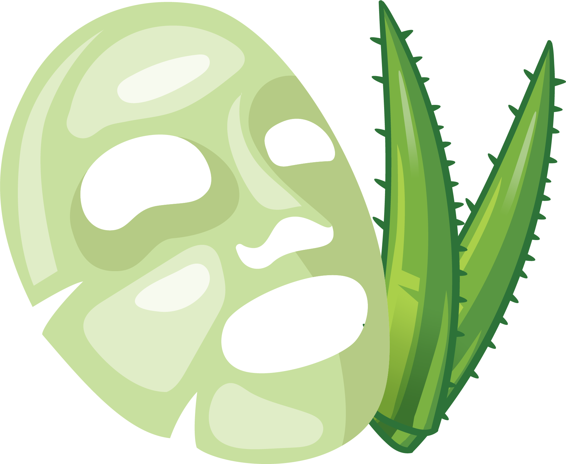 Aloe Vera Euclidean Vector Facial - Aloe Vera Euclidean Vector Facial (1808x1482)