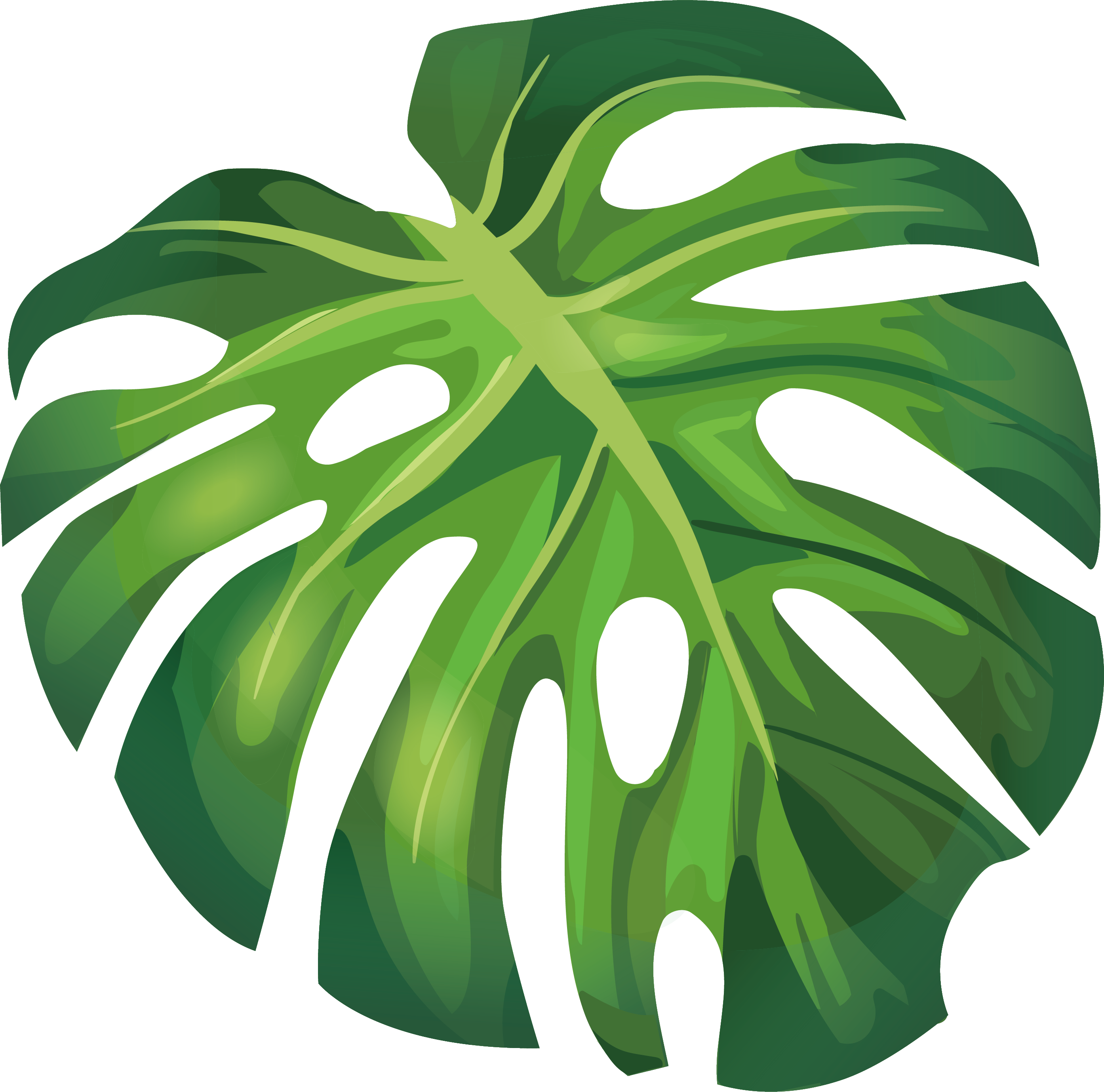 Leaf Arecaceae Euclidean Vector Illustration - Banana Leaf Clip Art (2788x2757)