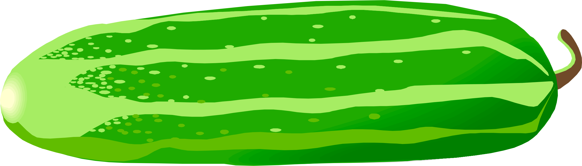 Big Image - Cucumber Png Illustration (2400x686)