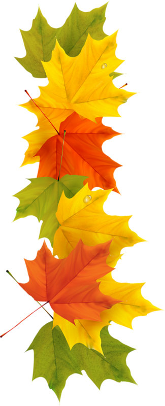 Mais - /fall-thema Postkarten (325x800)