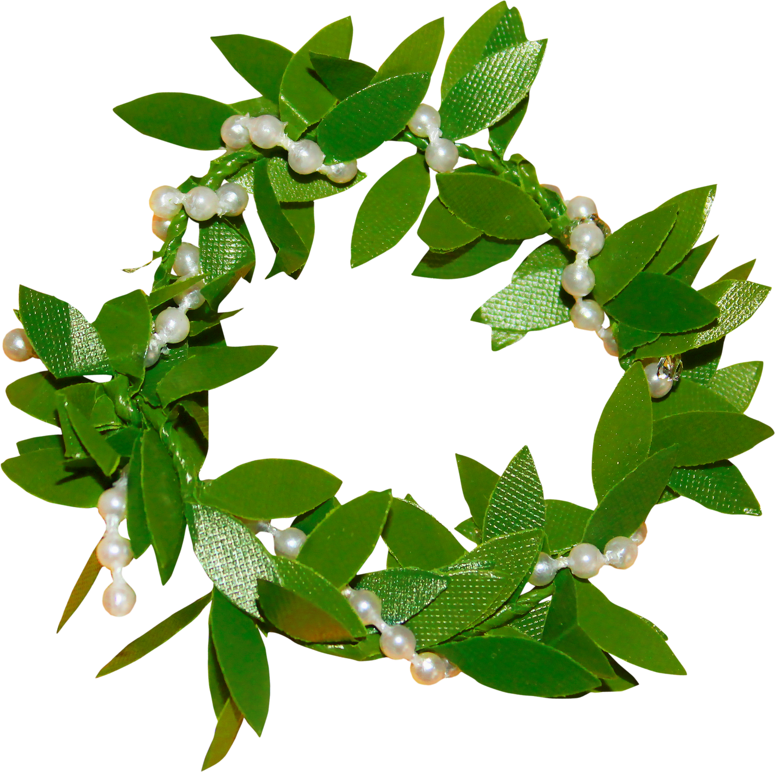 Leaf Garland Wreath Crown - Leaf Garland Wreath Crown (2499x2488)