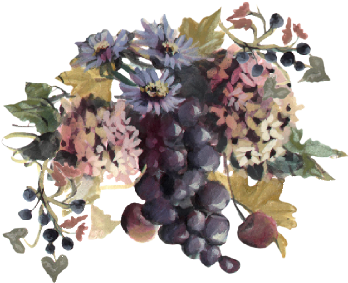 Blue Grapes And Chicory 01 Spring Flowers, Autumn Leaves, - Wine Grapes And Chicory Easy Print Place Cards, Pearl (519x346)